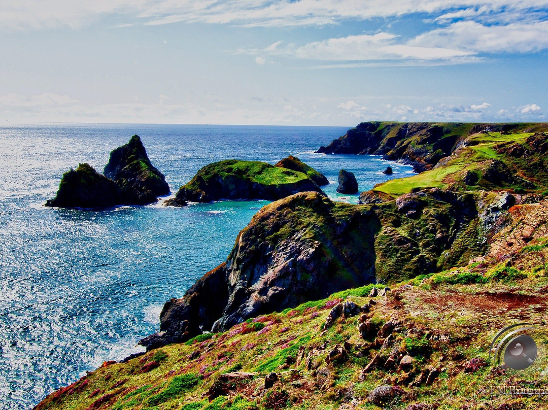 Predannack Downs Nature Reserve-康沃尔必去景点
