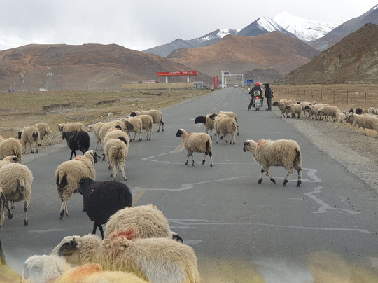 Travel China Guide的西藏一日游-拉萨市必去景点