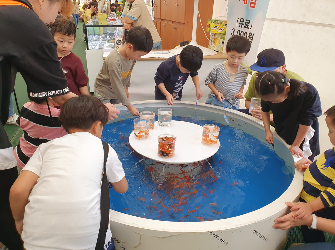 Yeoju Insect Museum-骊州郡必去景点