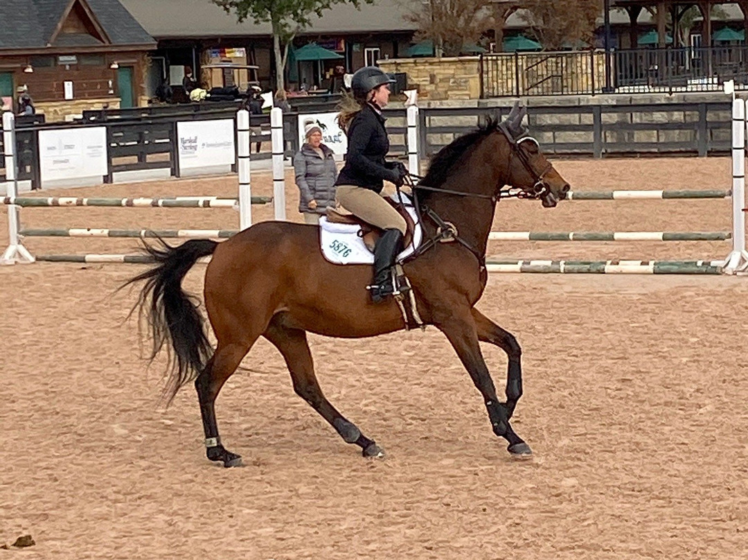 Tryon International Equestrian Center-米尔泉必去景点