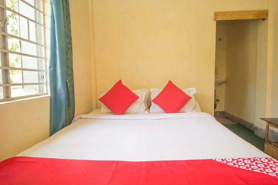 OYO 29761 Dooars Green Resort主图