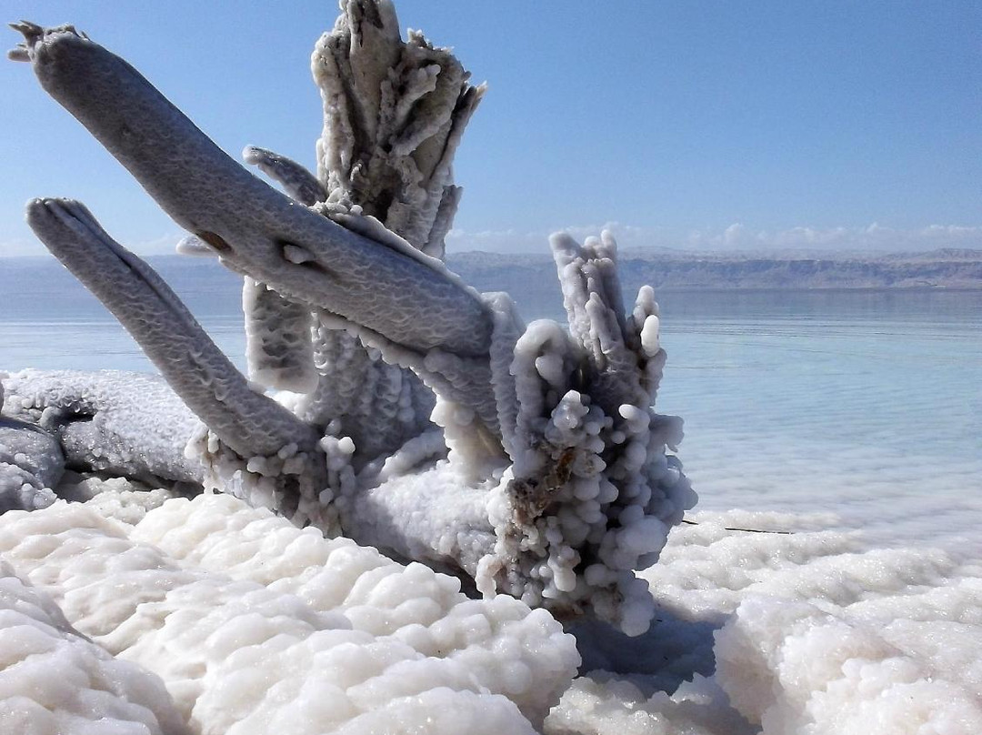 Dead Sea景点图片