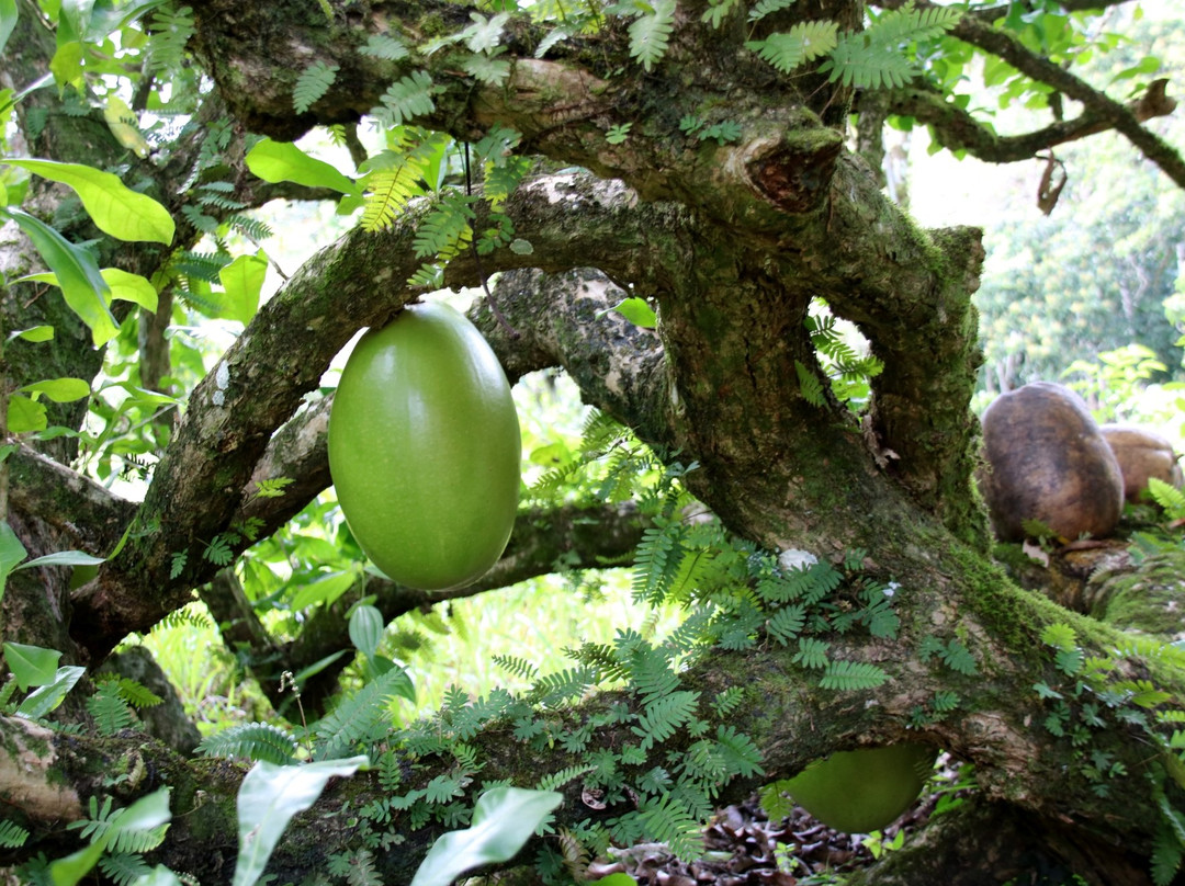 Lunaberg-Gaspar Hernandez必去景点