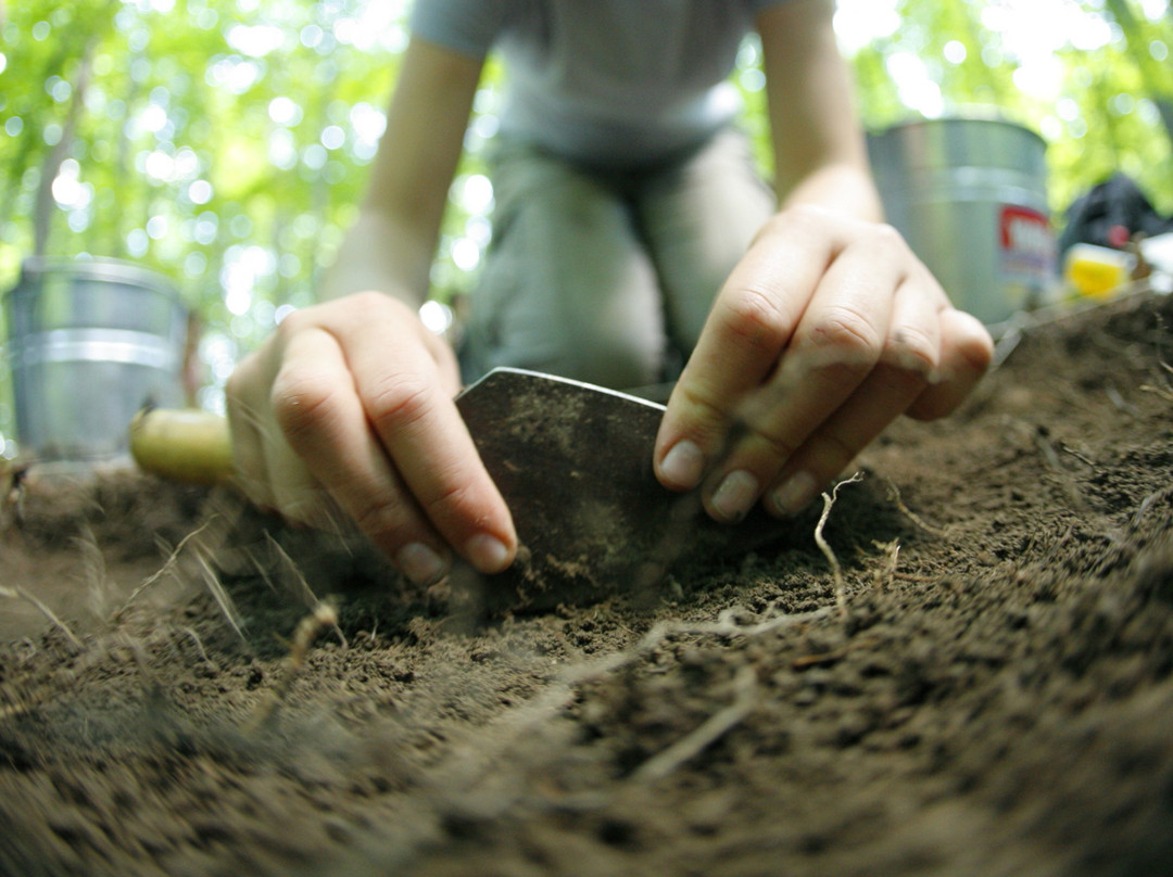 Pointe-du-Buisson / Musée Québécois d'Archéologie-Beauharnois必去景点