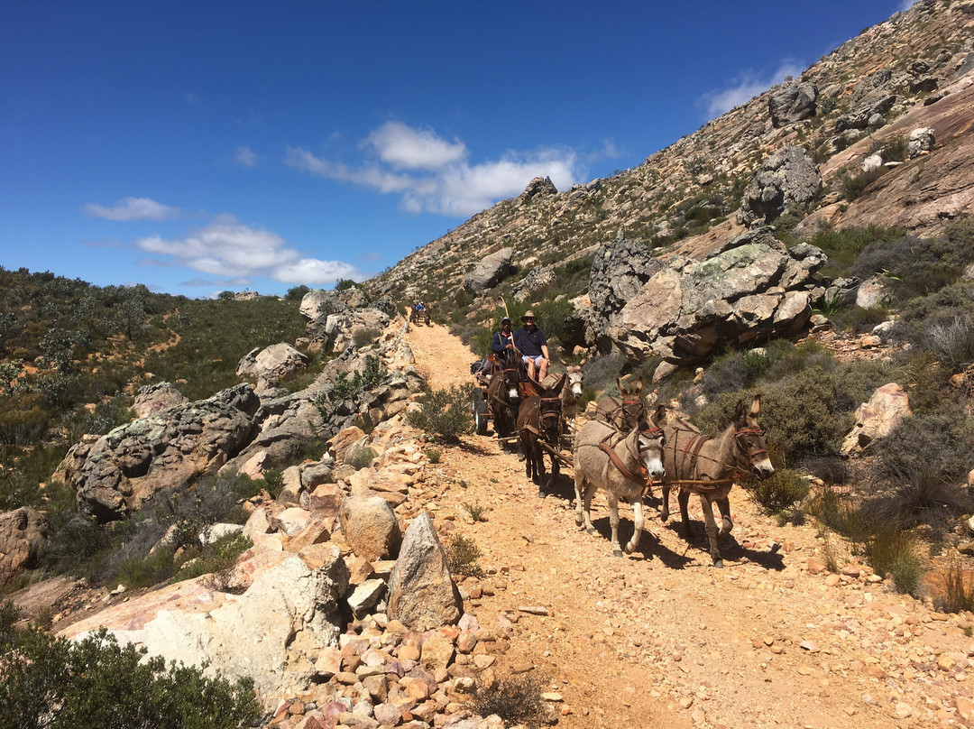 Groot Krakadouw Trail