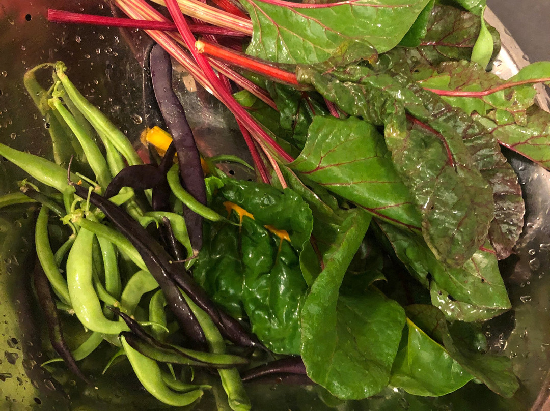 Mescal Canyon Retreat at Candlewood主图