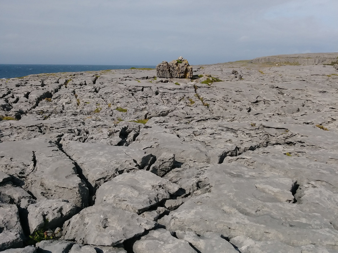 The Burren-克莱尔郡必去景点