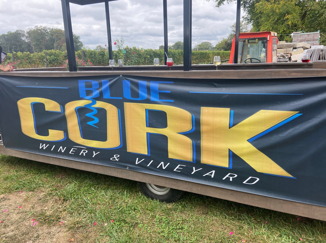 Blue Cork Winery and Vineyard景点图片