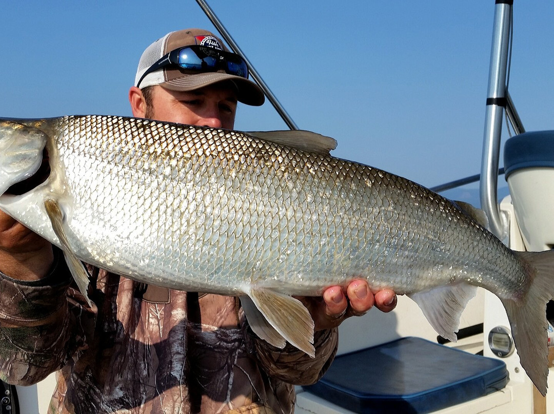 Flathead Lake Charters-Bigfork必去景点