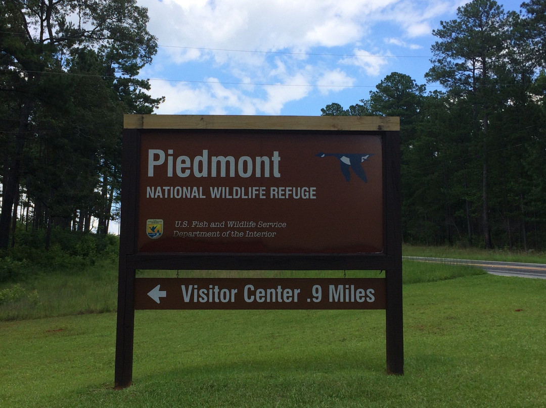 Piedmont National Wildlife Refuge景点图片