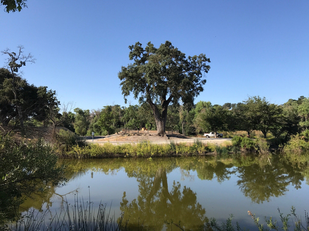 Atascadero Lake Park景点图片