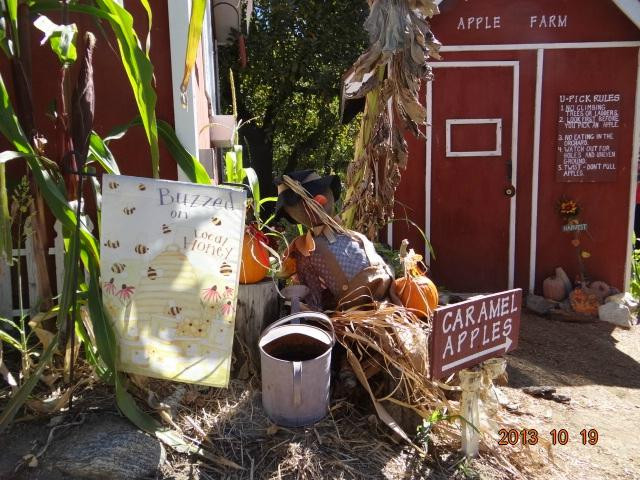 Forest Falls旅游景点-Willowbrook Farm