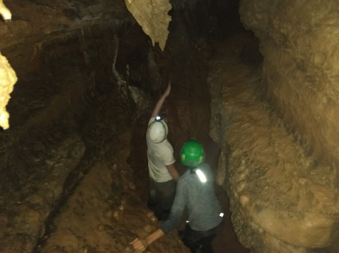 Sims Cave Park景点图片