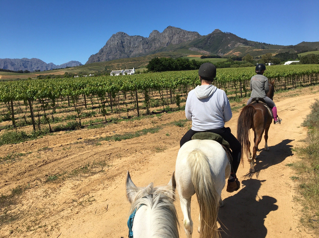 Cape Winelands Riding-Simondium必去景点