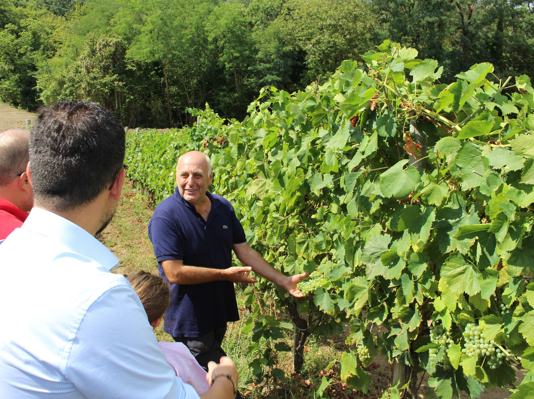 Crypta Castagnara Cantine景点图片