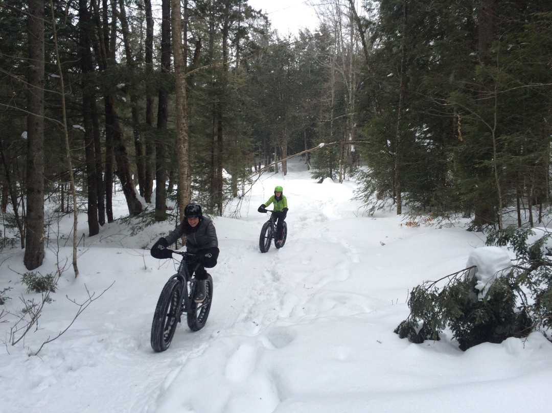 Mountain Meadows Cross Country Ski and Snowshoe Center-基灵顿必去景点