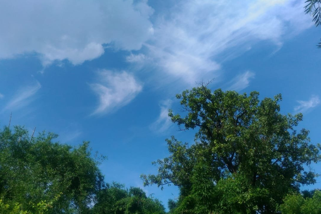 Regenta Resort Aranyaani主图