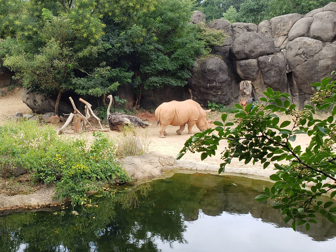 The Maryland Zoo景点图片