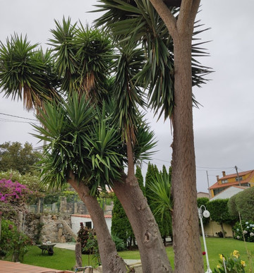 梅布尔酒店主图