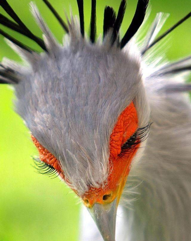 null-阿伯德尔国家公园