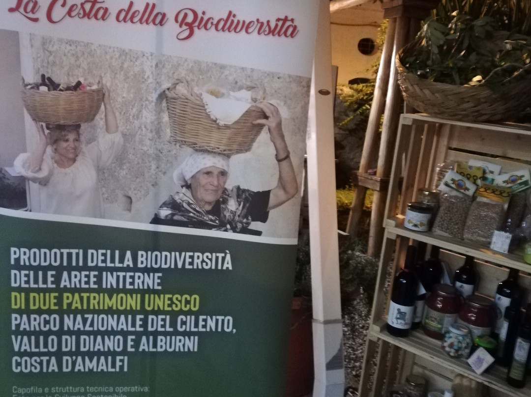 舞会天蓝酒店主图