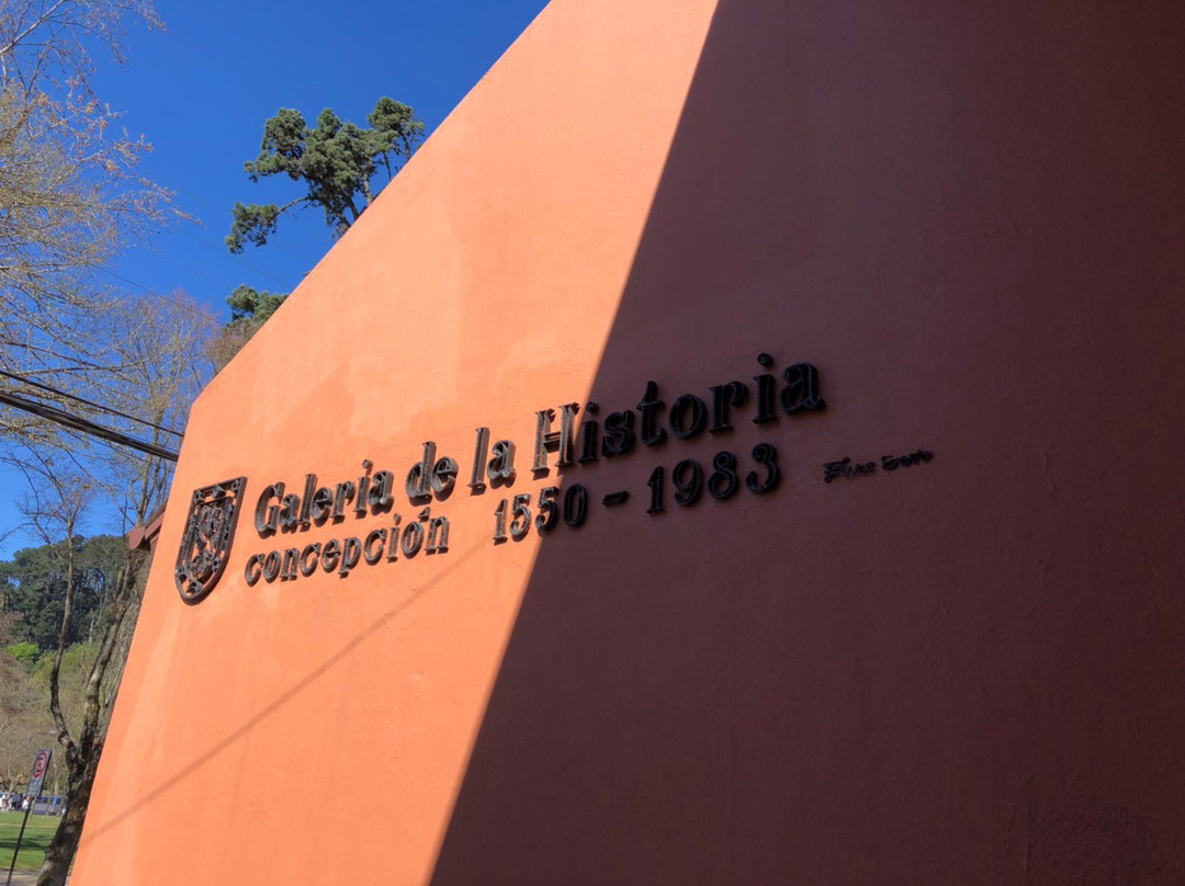 Galeria de la Historia de Concepcion-康塞普西翁必去景点