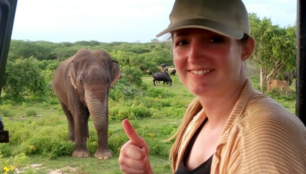 Kamal Safari Bundala Park-Hambantota必去景点