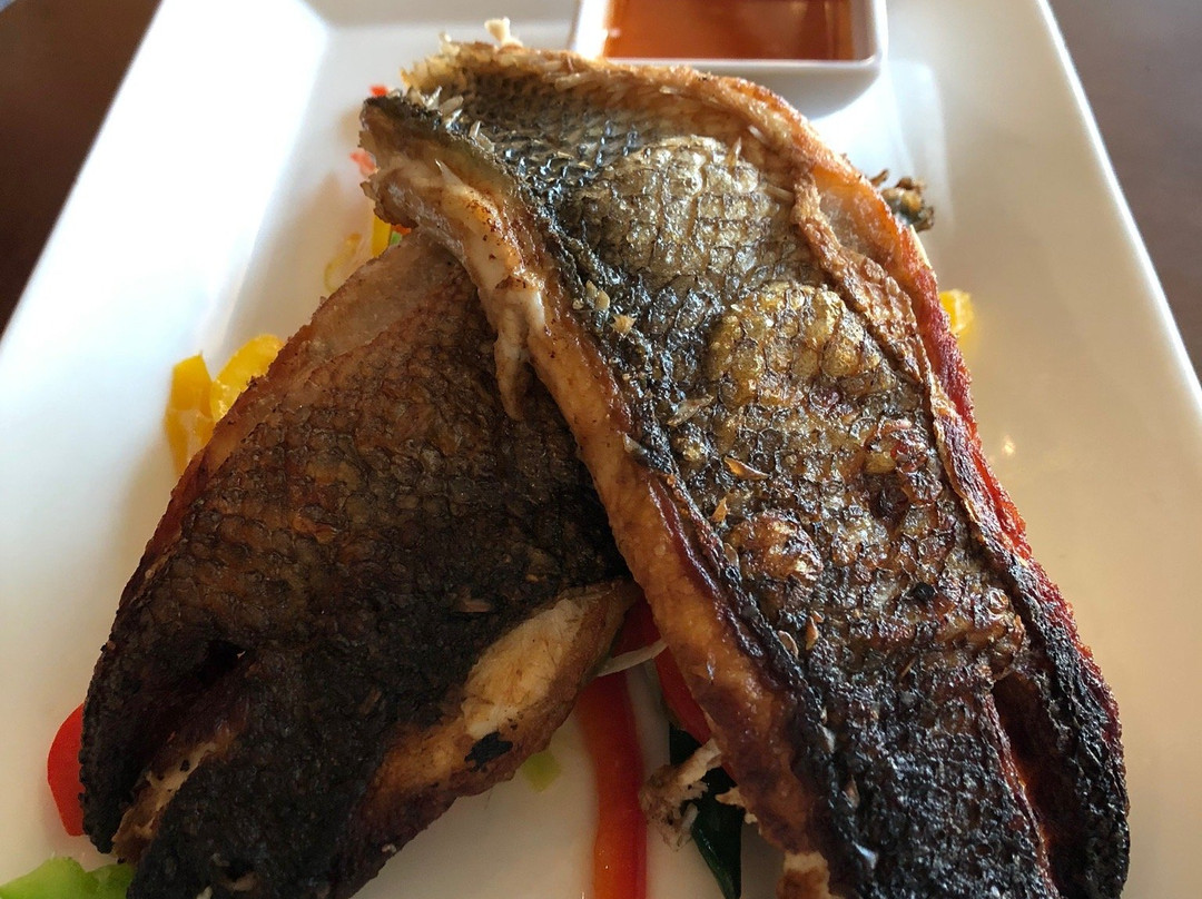 Shor American Seafood Grill