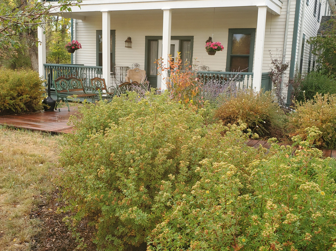 The Historic Elk Mountain Hotel主图