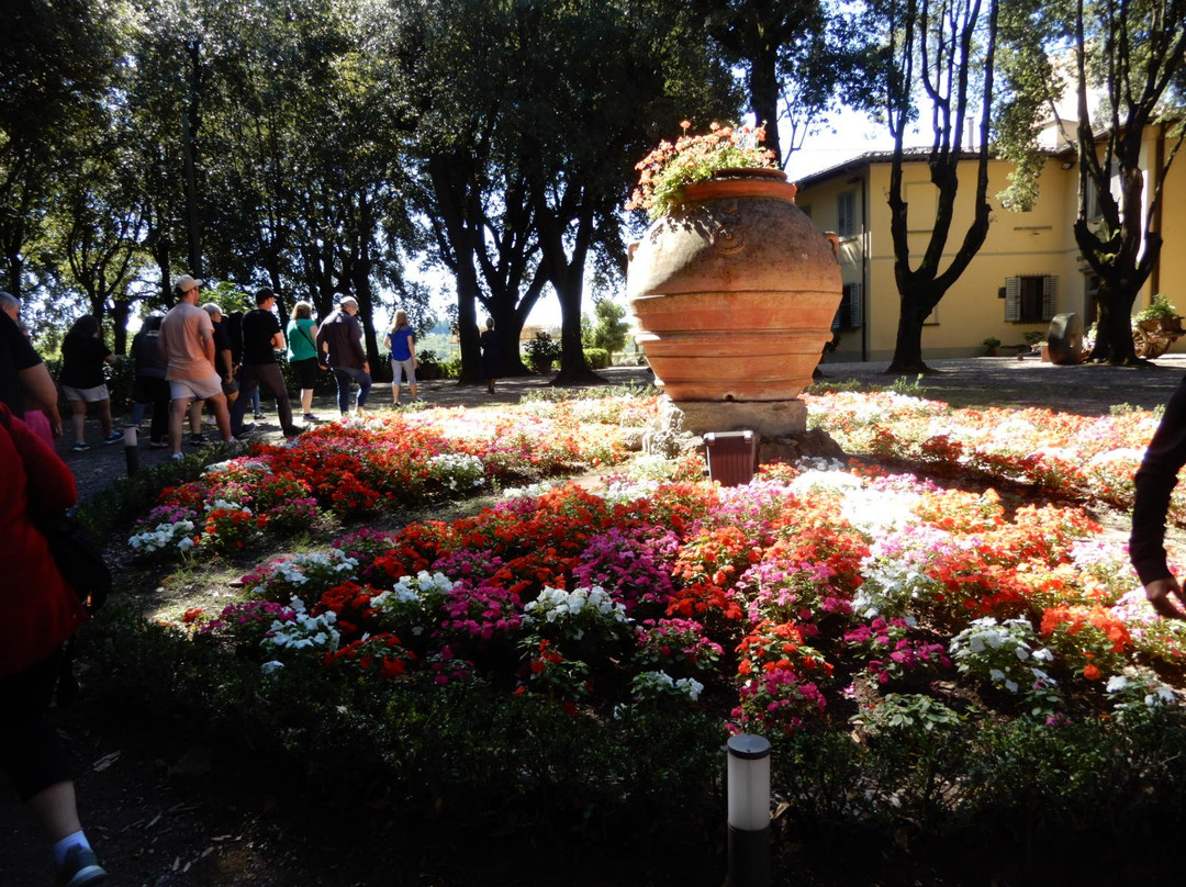 Agriturismo Villa il Leccio主图