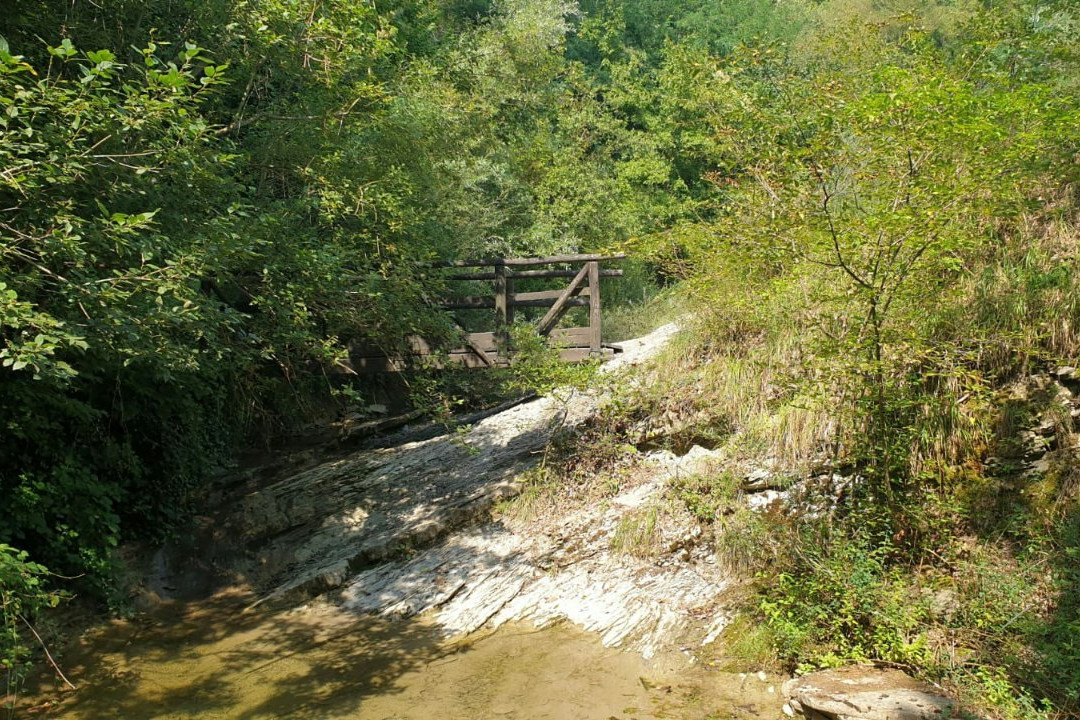 Viale E Fonte Sulfurea Del Chiardovo
