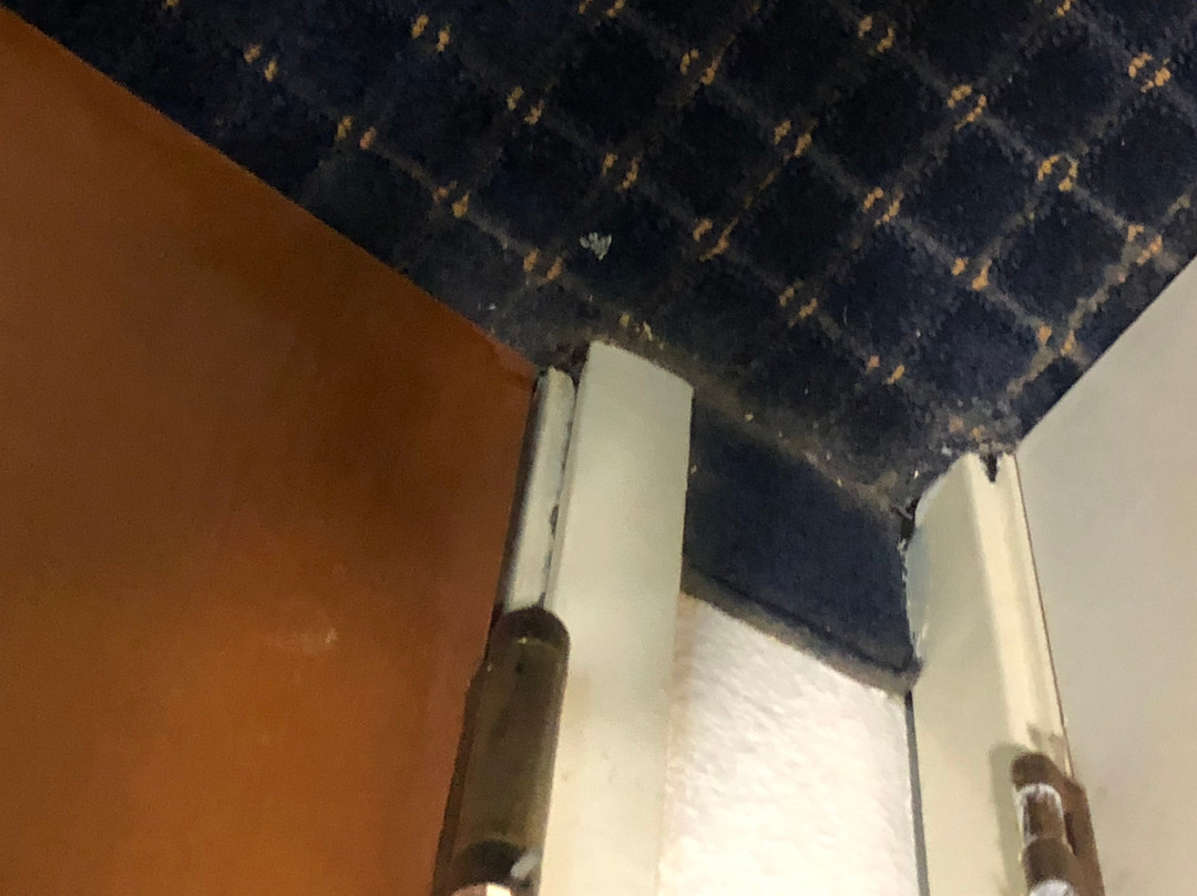 Wingate by Wyndham Augusta/Fort Gordon主图