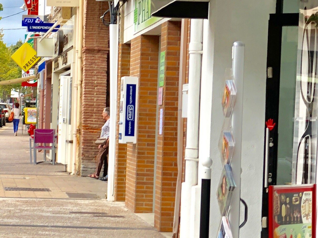 Vallespir Tourisme - Antenne du Boulou景点图片