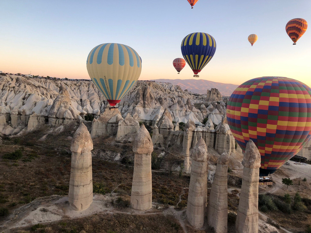 Skyway Balloons景点图片