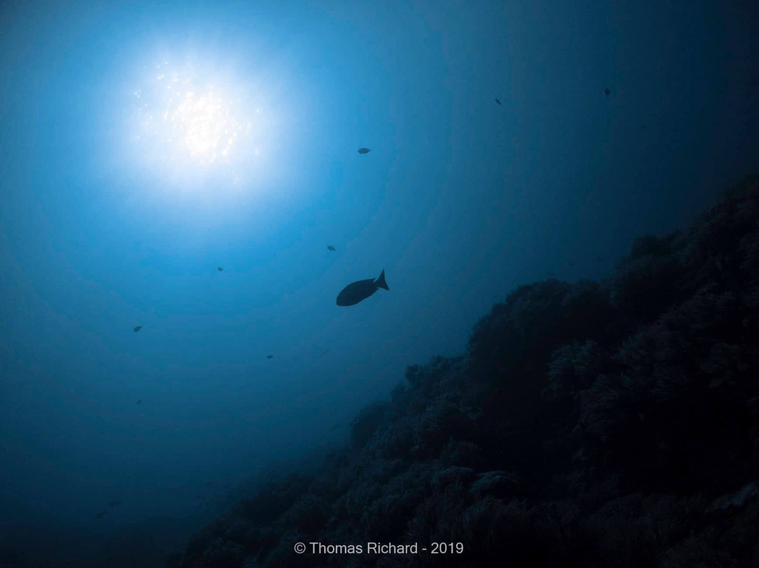 La Foa Plongée-La Foa必去景点