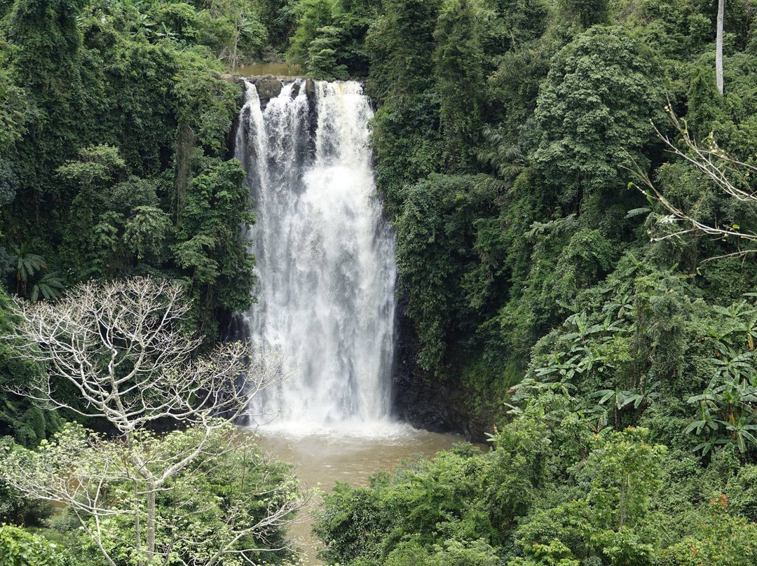 Ivory Falls Villa主图