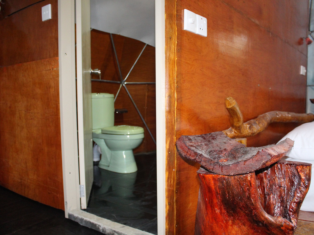 Ella Eco Domes主图