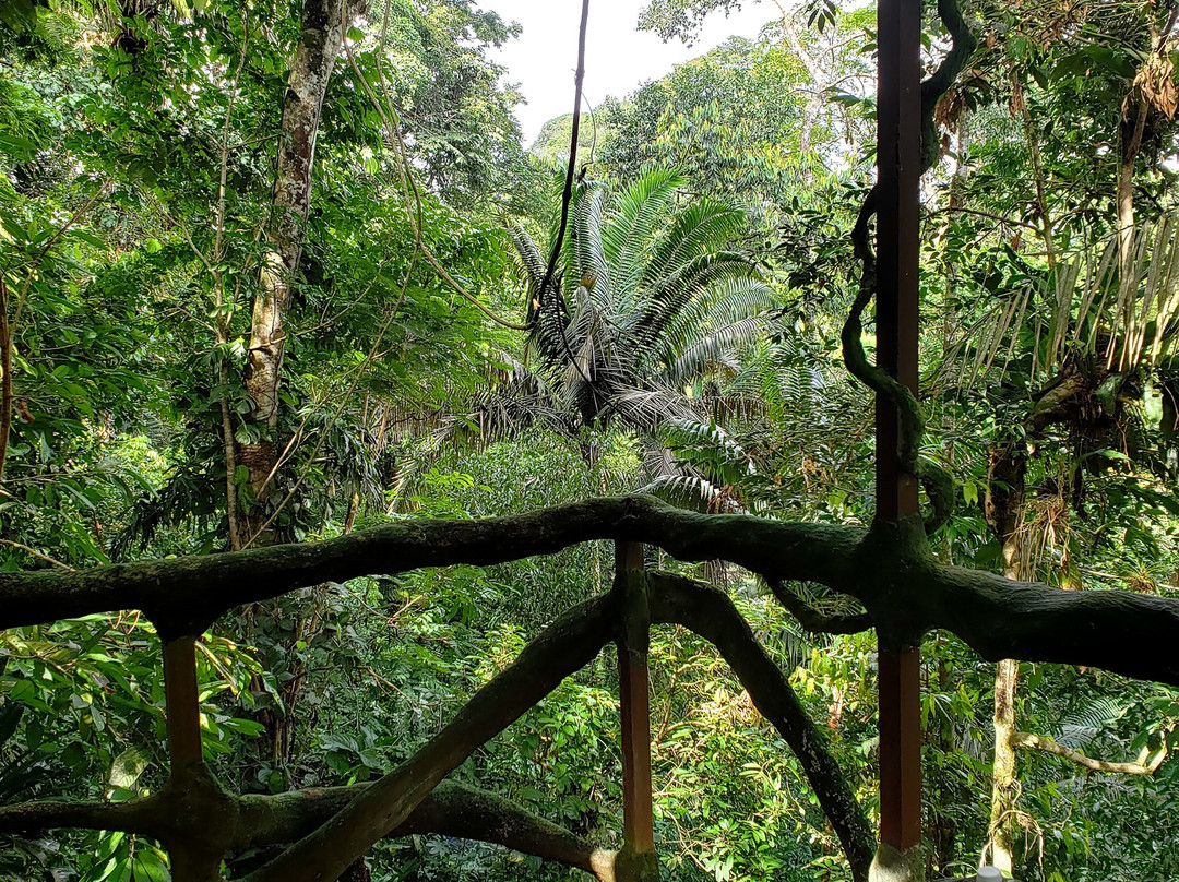 Maquenque Eco-Lodge主图