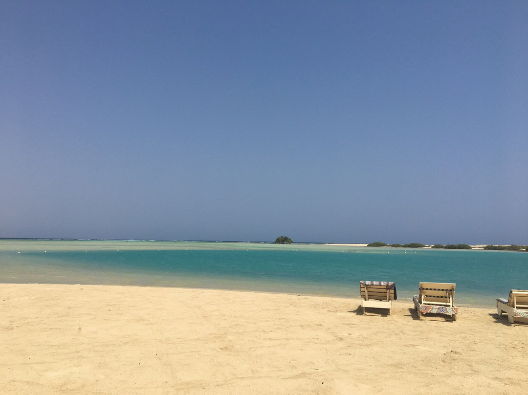 El Qulan Mangrove Forest-马萨阿拉姆必去景点