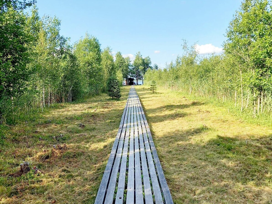 Viki Swamp
