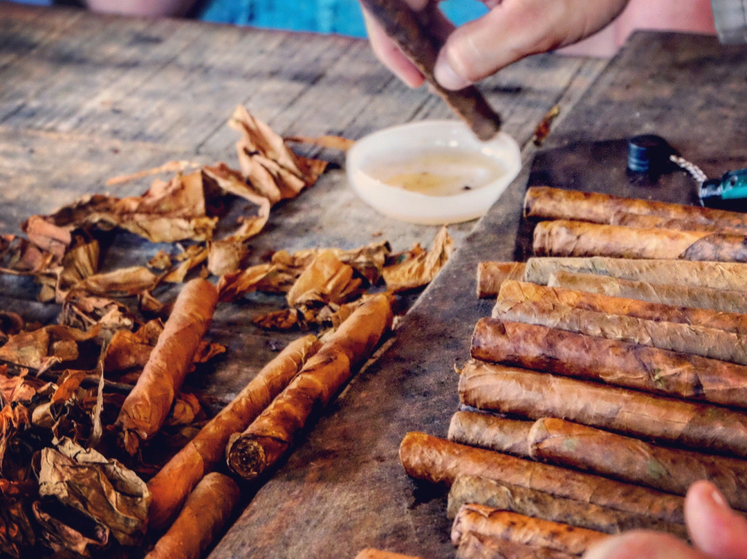 The Vinales Experience, Cuba-维纳勒斯必去景点