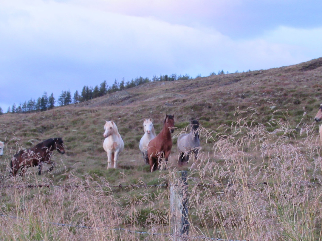 Vallakot Farm Guesthouse主图