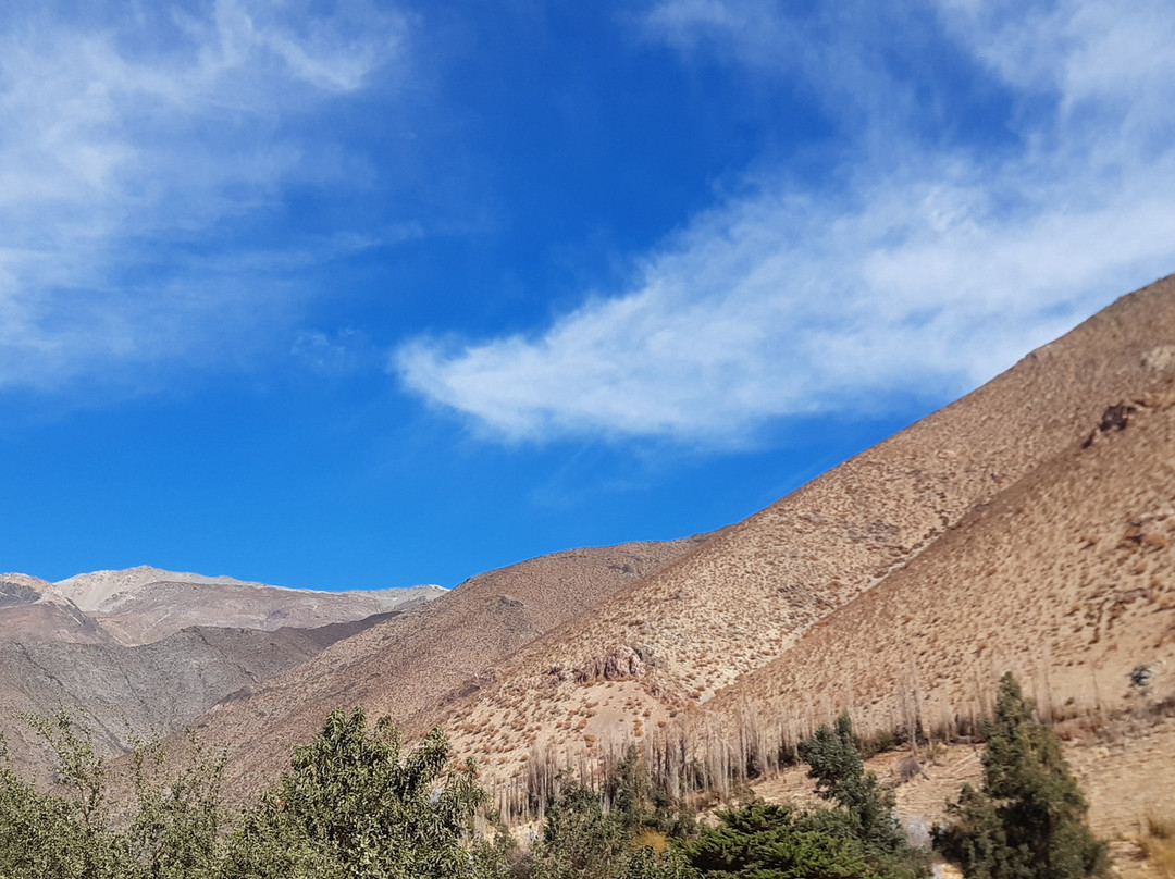 Alcohuaz Vineyards-Coquimbo必去景点
