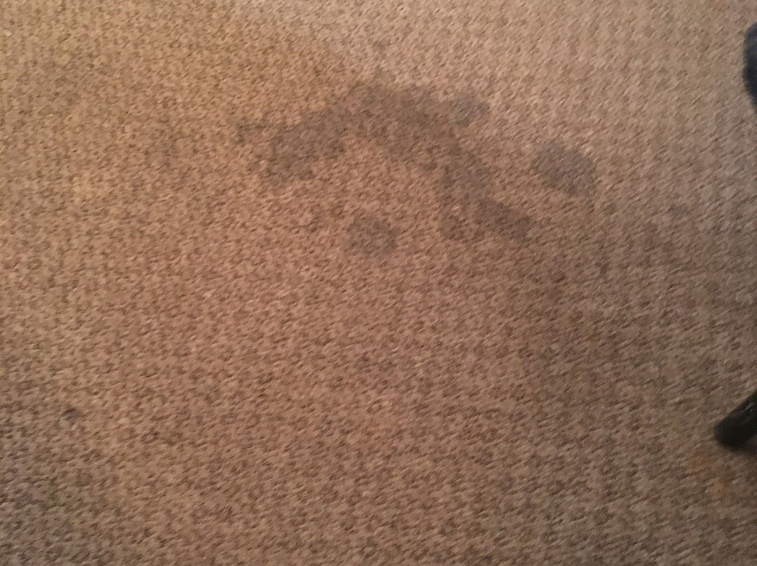 Fundy Line Motel & Restaurant主图