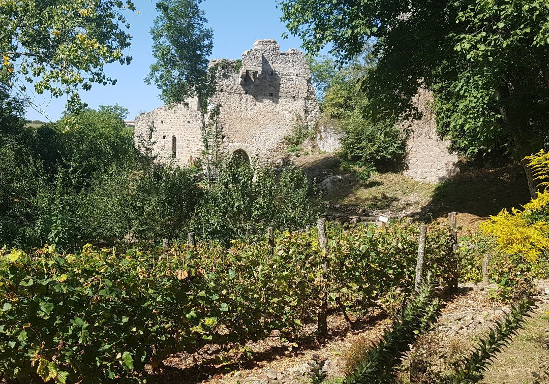 Chateau du Donzy-Salt-en-Donzy必去景点