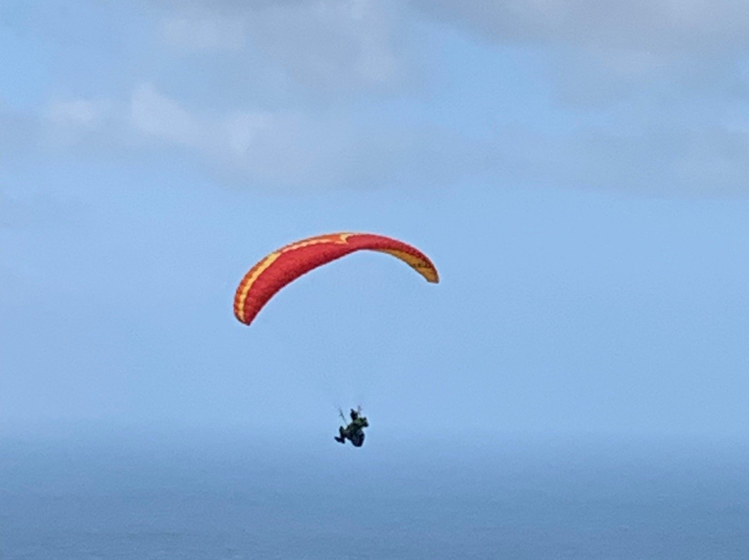 Bald Hill Lookout-悉尼必去景点