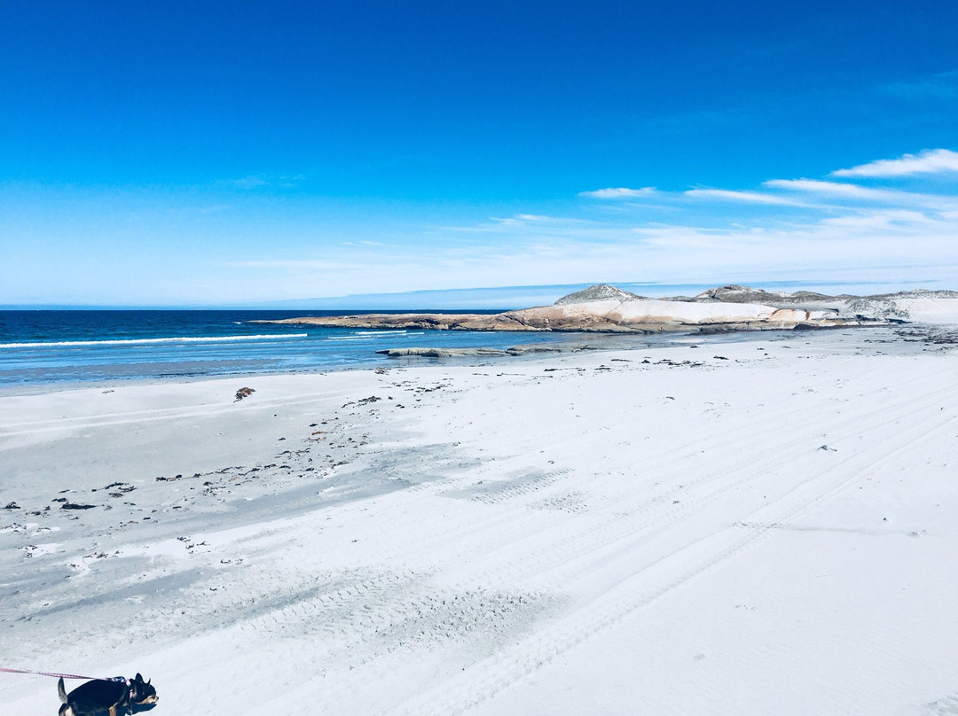 Cape Island Walking Trail景点图片