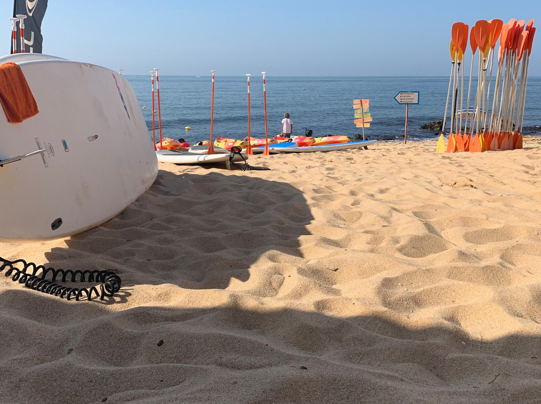 Albufeira Surf & SUP景点图片