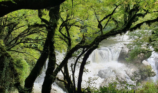 phoenix tours georgia / tbilisi-第比利斯必去景点