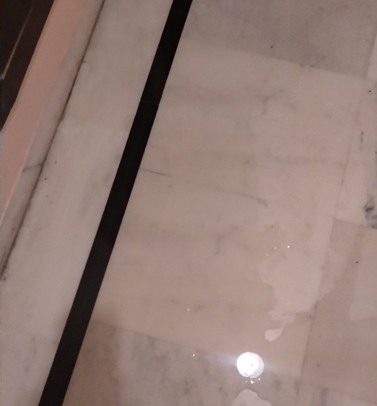 Treebo Trend Jhalamaan主图